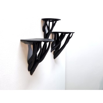 Plank "Entagle Leaf"