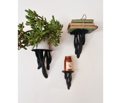 Plank "Entagle Leaf"