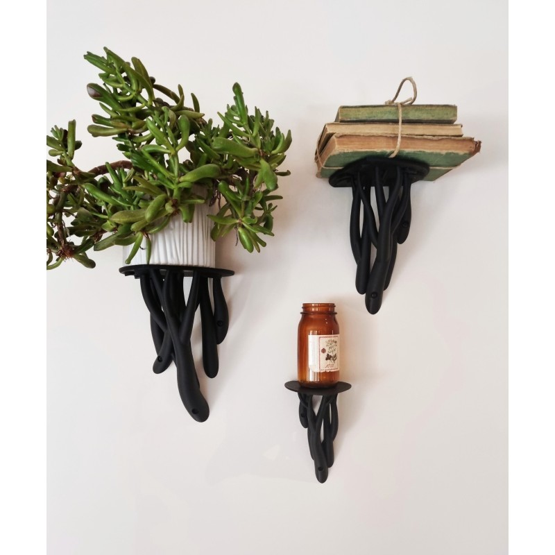 Plank "Entagle Leaf"