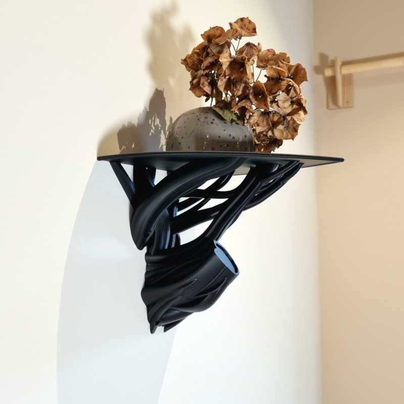 Plank "Branch Shelf"