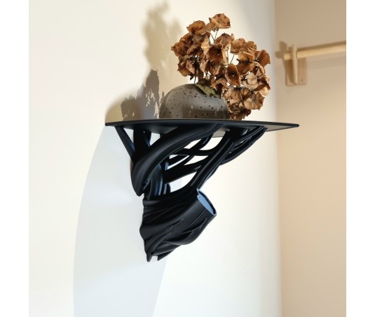 Plank "Branch Shelf"