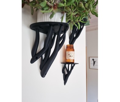 Entangle leaf Plank