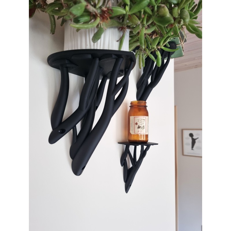 Entangle leaf Plank