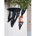 Entangle leaf Plank